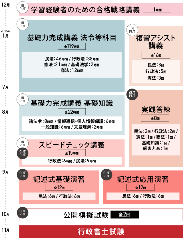 ステディコース カリキュラム