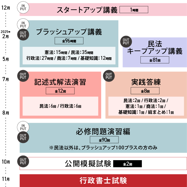 ステディコース カリキュラム