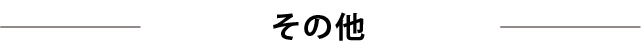 その他