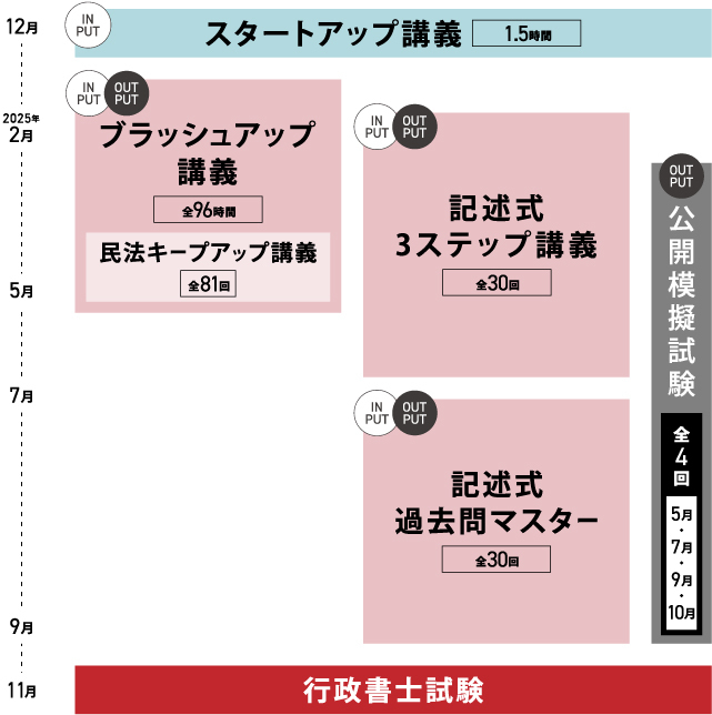 ステディコース カリキュラム