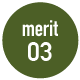 merit03