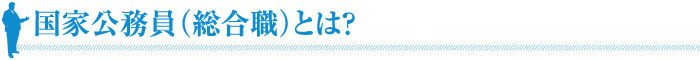 国家公務員（総合職とは？）