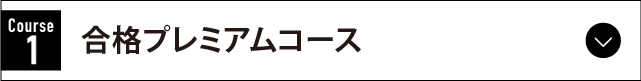 合格プレミアムコース