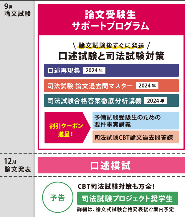 論文受験生サポートプログラム・図