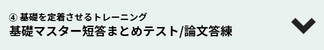 基礎マスター短答まとめテスト/論文答練